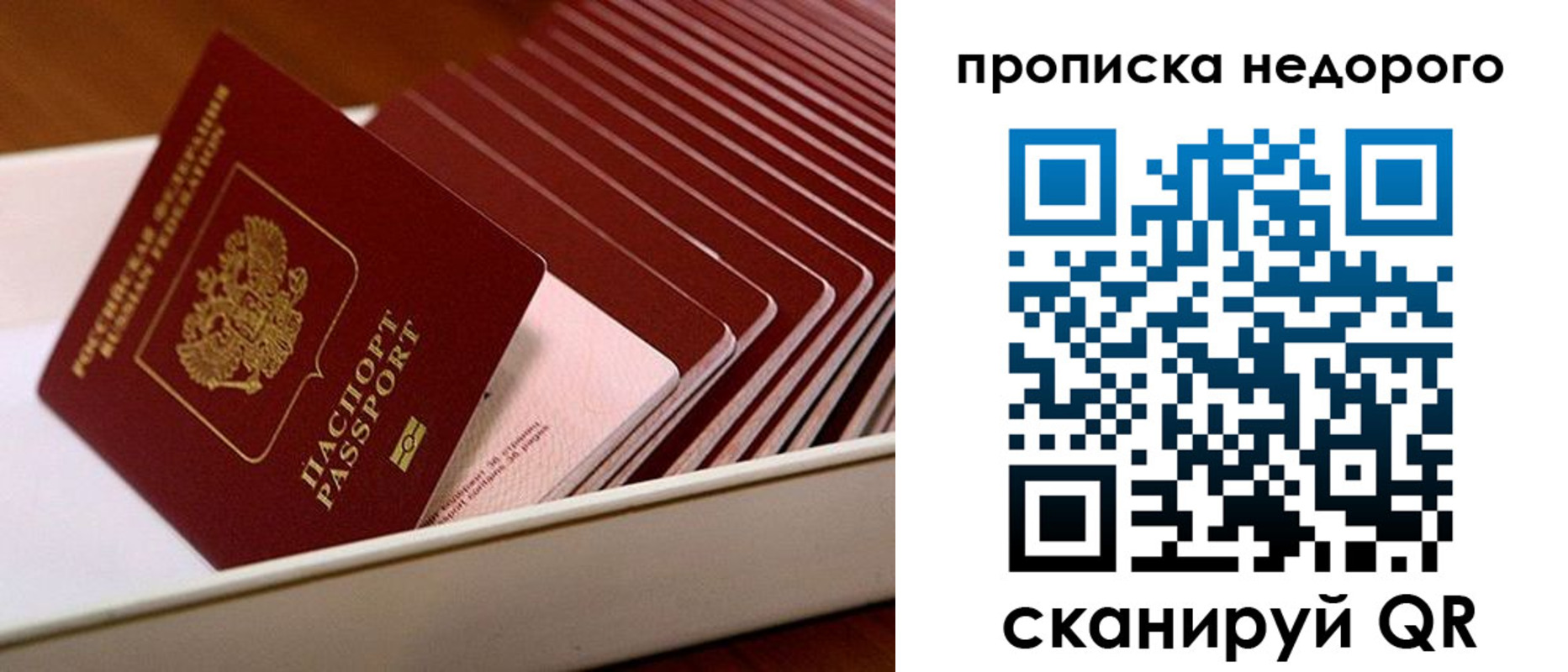 прописка паспорт в Калининградской области